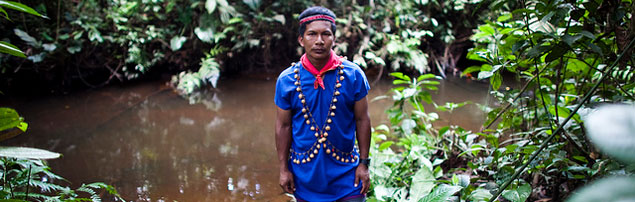 When a green heaven turns into black waters (Oil pollution in the Amazon rainforest)