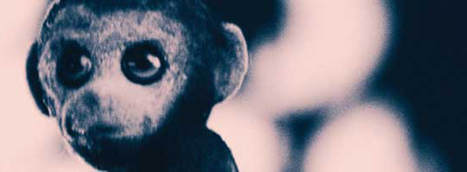 DeMentira releases his Chimpancé EP