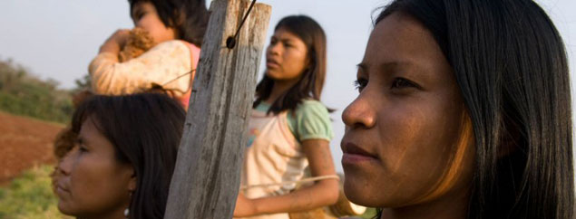 Birdwatchers: Guarani culture, land disputes, rural Brazil and an unpleasant reality