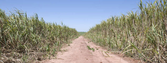 Death threat from Shell supplier on Guarani land