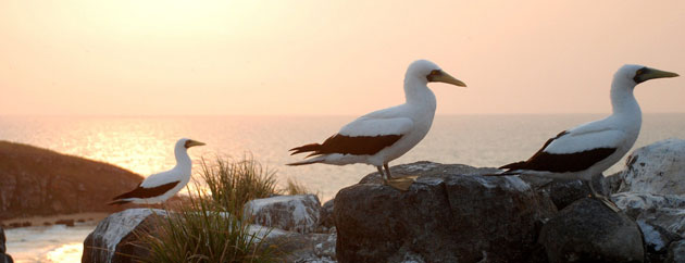 A sight to behold: Abrolhos Marine National Park