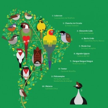 A Guide To The Birdsong Of South America Mixtape | Sounds and Colours