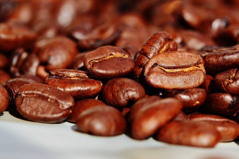What’s The Best Coffee From Latin America? Sounds and Colours