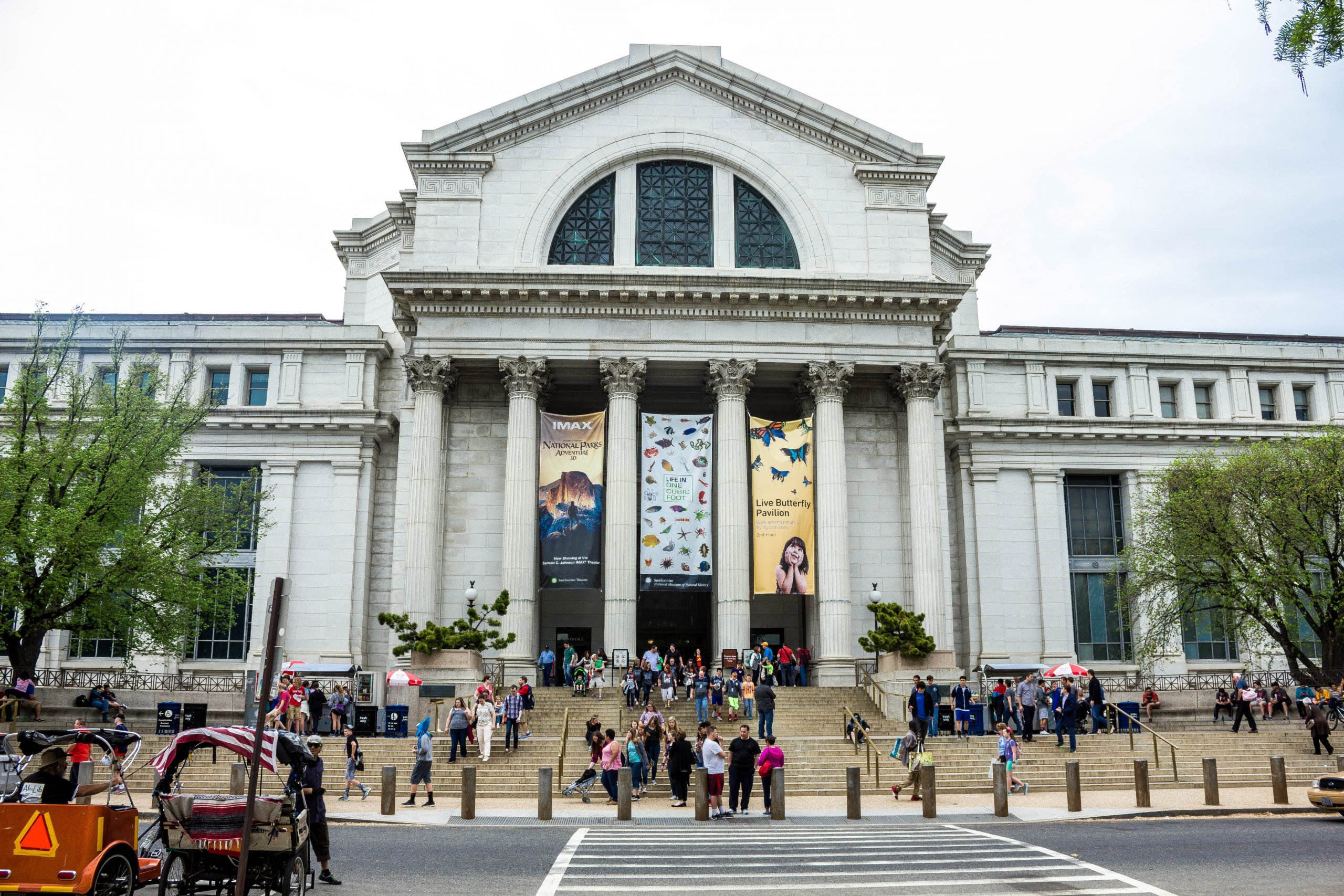 museum of natural history new york or washington dc