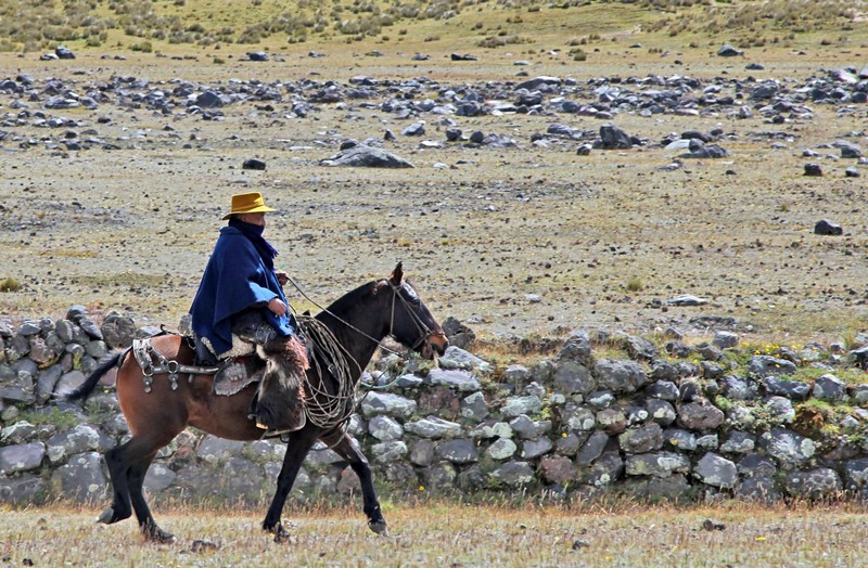 5 Best Books About South American History - Sounds and Colours