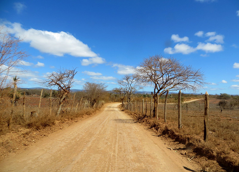 ‘Torto Arado’ by Itamar Vieira Júnior The Fight for Land Rights in