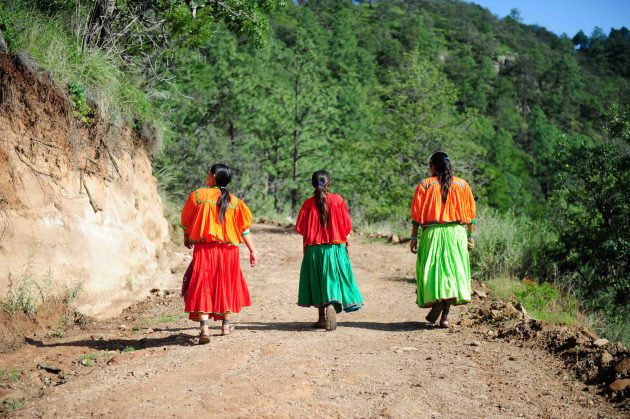 From Pole to Pole: the journey of a 'Chexican' barefoot runner