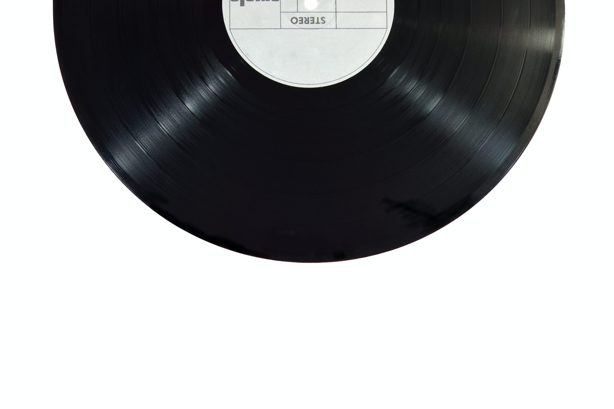Latin Artists - Booking Agency for Celebrities | Sounds and Colours
