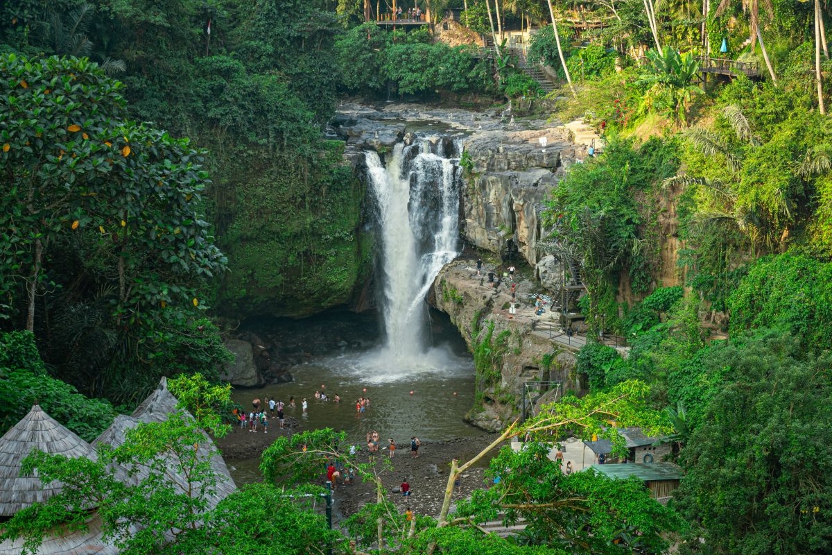 Discovering the Enchanting Beauty: The Best Waterfalls in the Caribbean ...