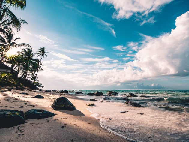 What's So Special About The Galápagos Islands? ("Sounds And Colours" Places) - Vimarsana News